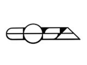 Emblem Vespa Cosa schwarz / wei