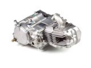 Motor komplett 4-Gang Daytona Anima 190FSM