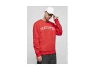 Sweater Rundhals / Crewneck Script 3D Embroidery SP Southpole rot L