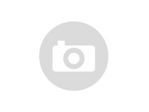 Endschalldmpfer Polini fr Vespa 50-125ccm Auspuffanlagen